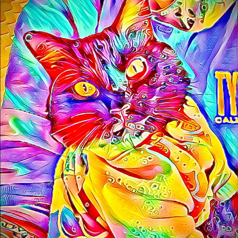 Meet your Posher, Amy